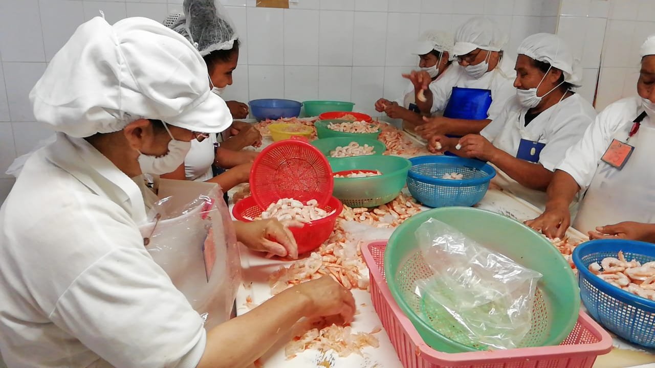 WhatsApp Image 2019-03-20 at 3.38.30 PM