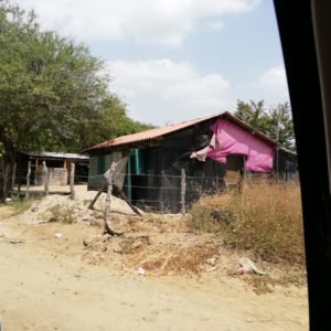 WhatsApp Image 2019-03-22 at 3.12.42 PM