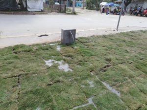 WhatsApp Image 2019-03-25 at 12.49.41 PM