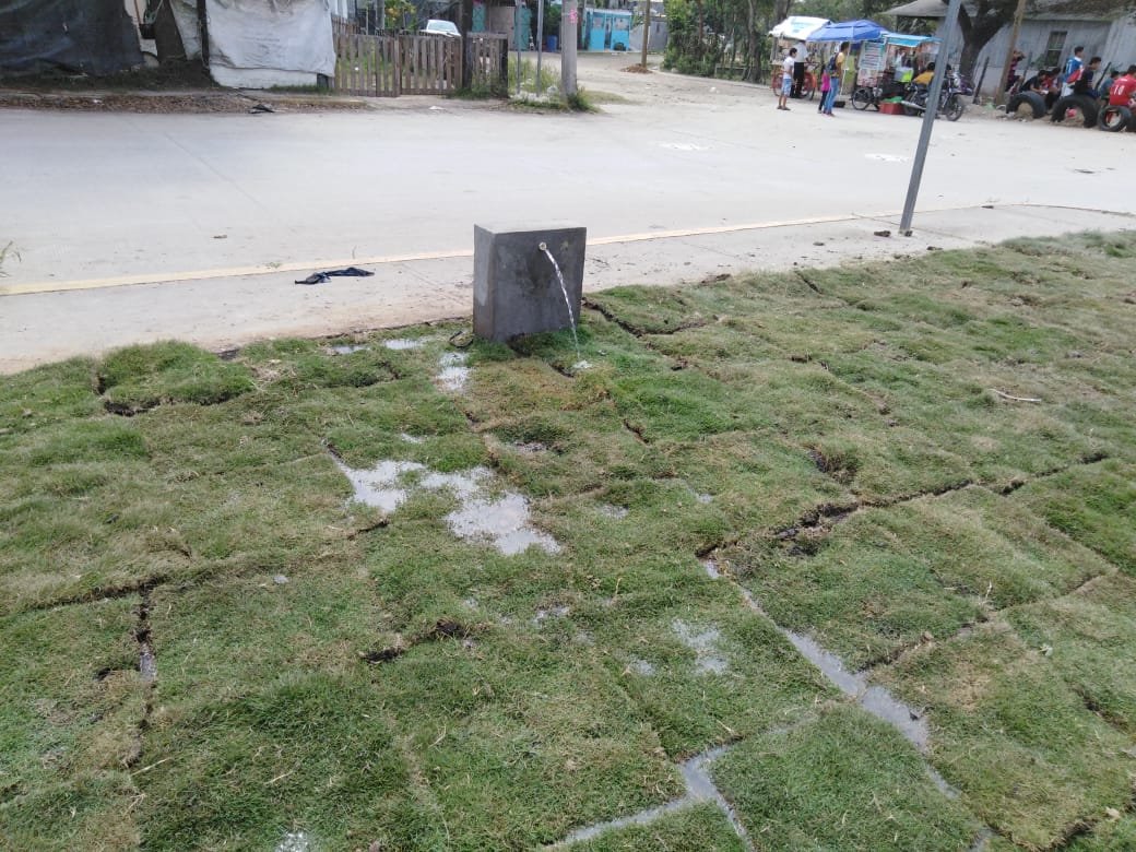 WhatsApp Image 2019-03-25 at 12.49.41 PM