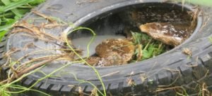 WhatsApp Image 2019-03-27 at 3.08.39 PM