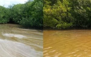 laguna-de-pueblo-viejo_46_0_508_316