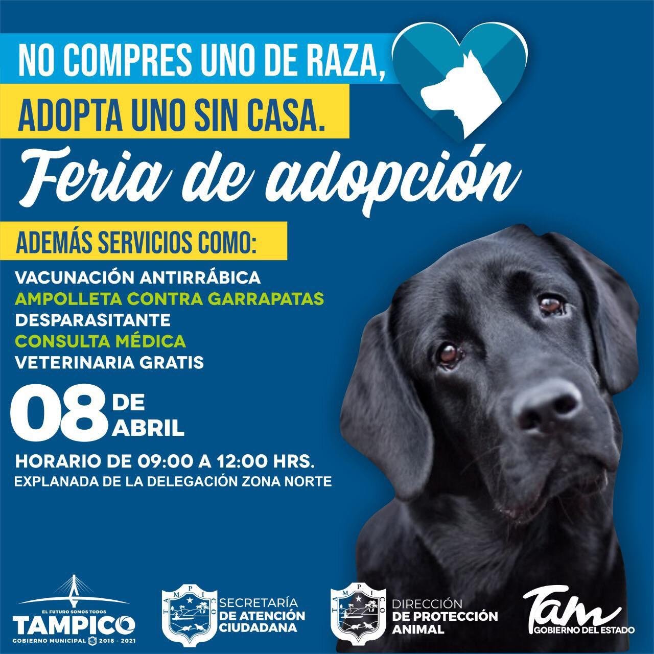FERIA DE ADOPCION