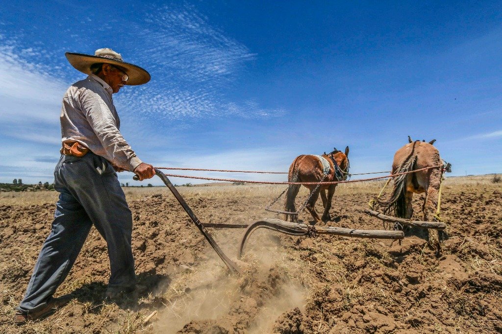 Programa_Produccion_BIenestar-1