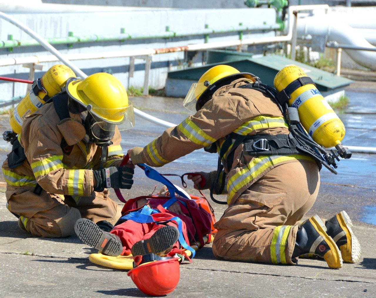 WhatsApp Image 2019-04-12 at 11.54.27 AM