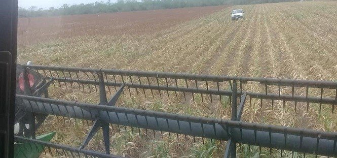 110529-29d6518c518d6629af8b1268f9d206fb