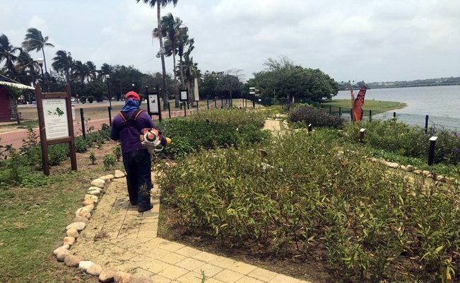 Limpieza-laguna-del-carpintero