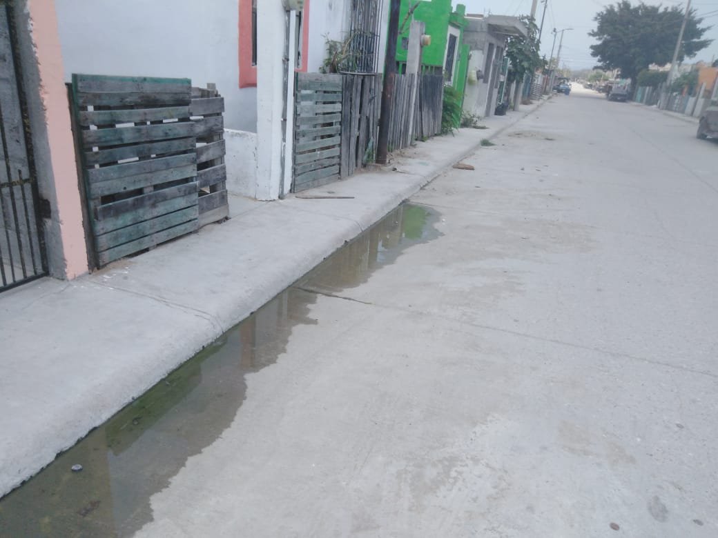 WhatsApp Image 2019-05-06 at 2.37.12 PM (1)