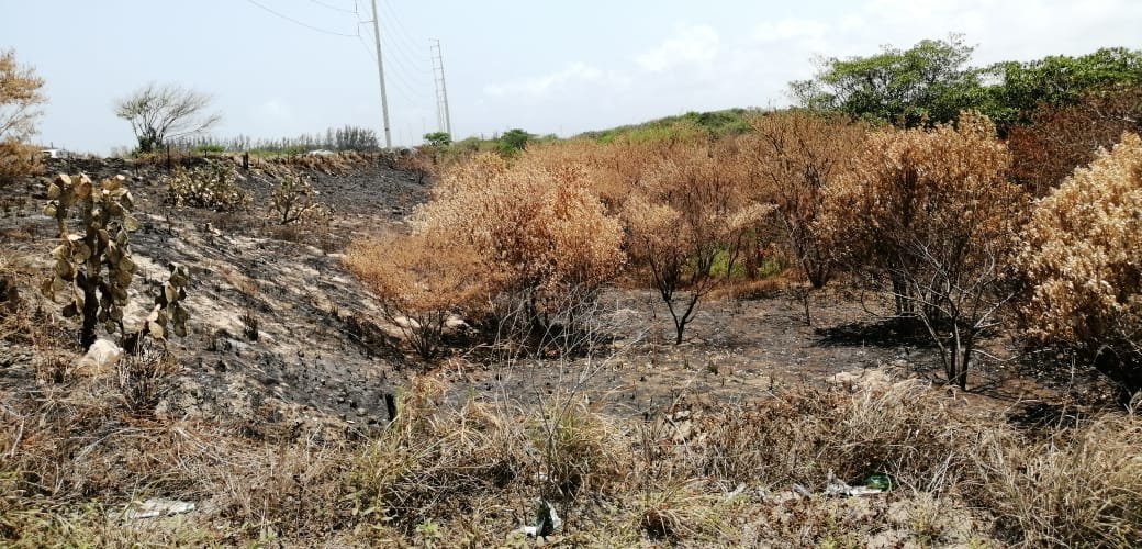 WhatsApp Image 2019-05-15 at 4.55.07 PM