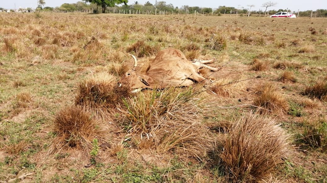 WhatsApp Image 2019-05-23 at 1.31.36 PM