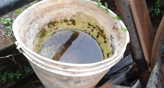 criaderos-2-680x365_c