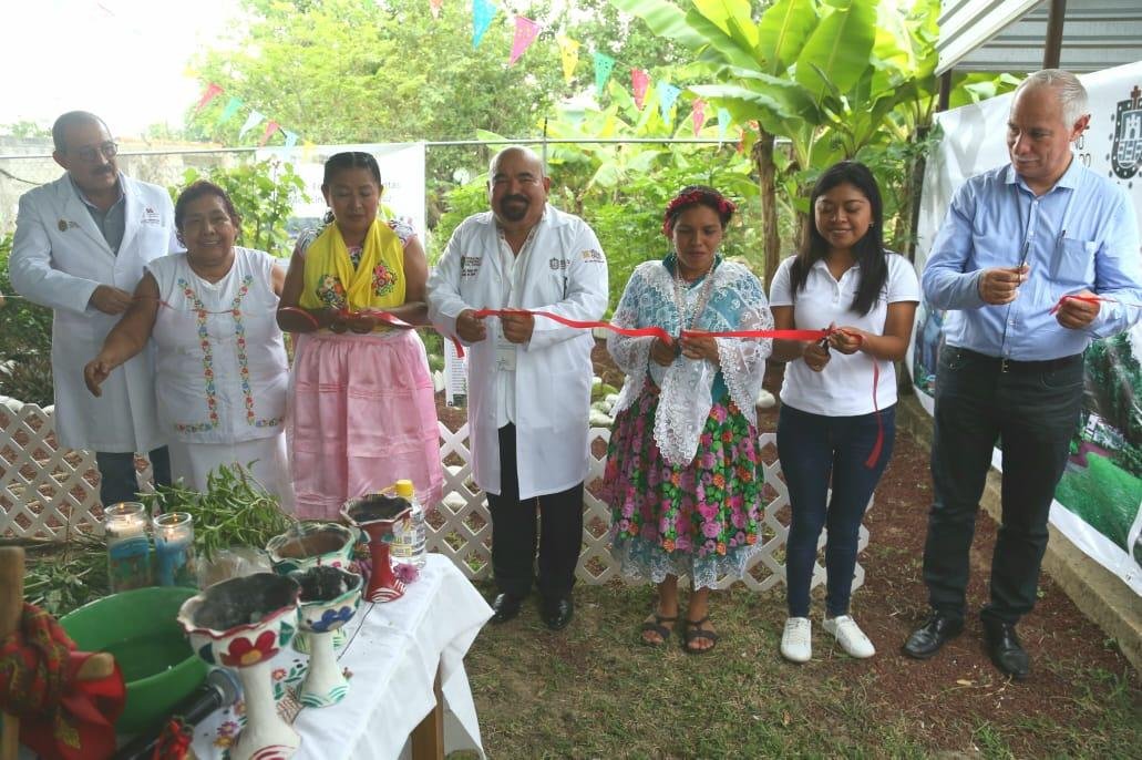 JARDÍN, PLANTAS MEDICINALES (1)