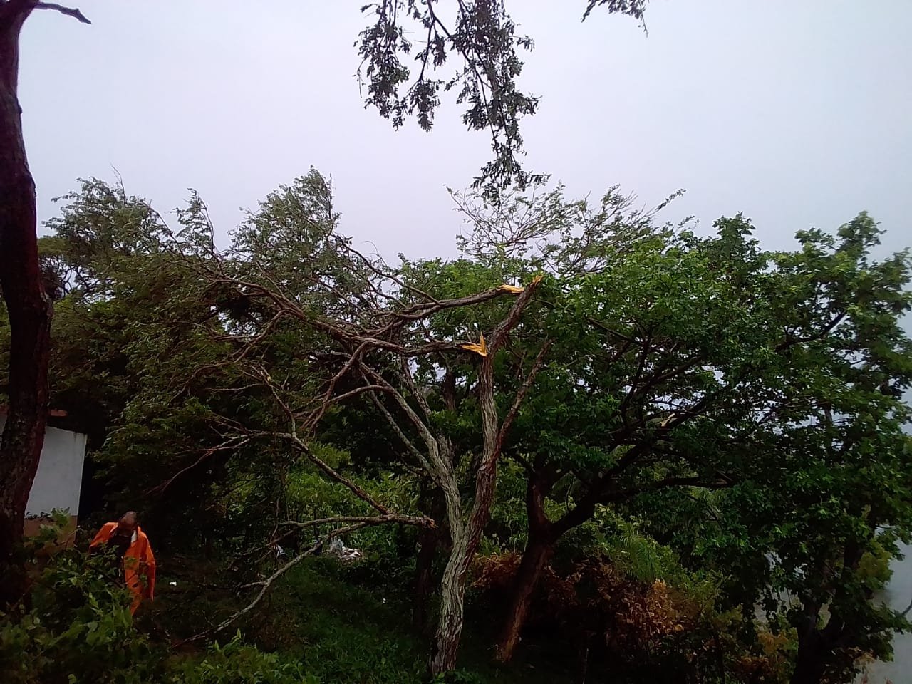 WhatsApp Image 2019-06-25 at 2.36.23 PM