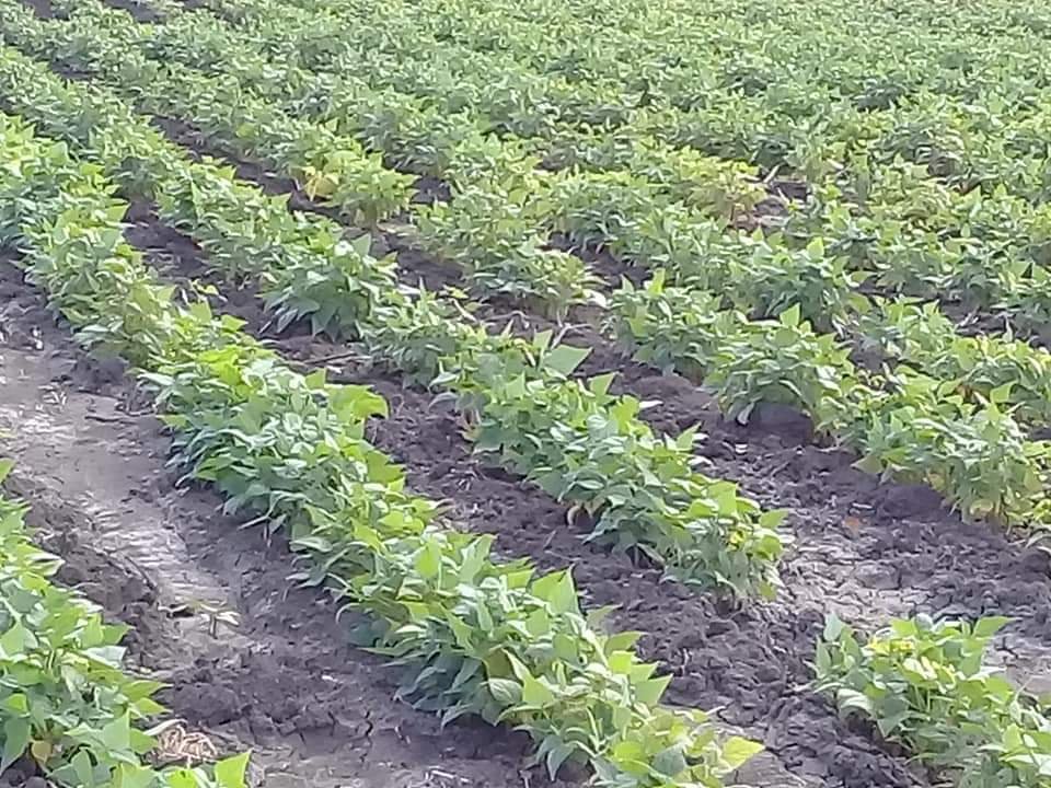 WhatsApp Image 2019-06-25 at 4.05.28 PM