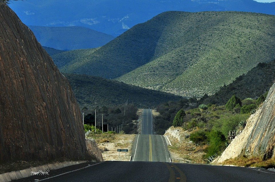 SDU-036-2019.-Intensifica Gobierno del Estado cuidado de Áreas Naturales Protegidas (ANPs) (3)