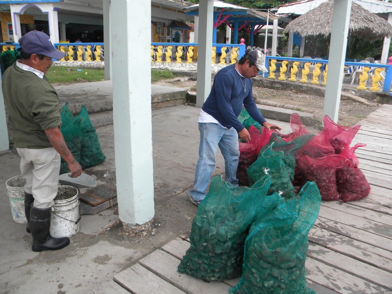 WhatsApp Image 2019-07-10 at 5.06.12 PM