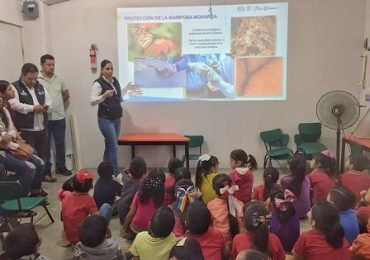 thumbnail_SDU-039-2019.-Más-de-20-mil-personas-beneficiadas-con-educación-ambiental-en-Tamaulipas-2-370x260
