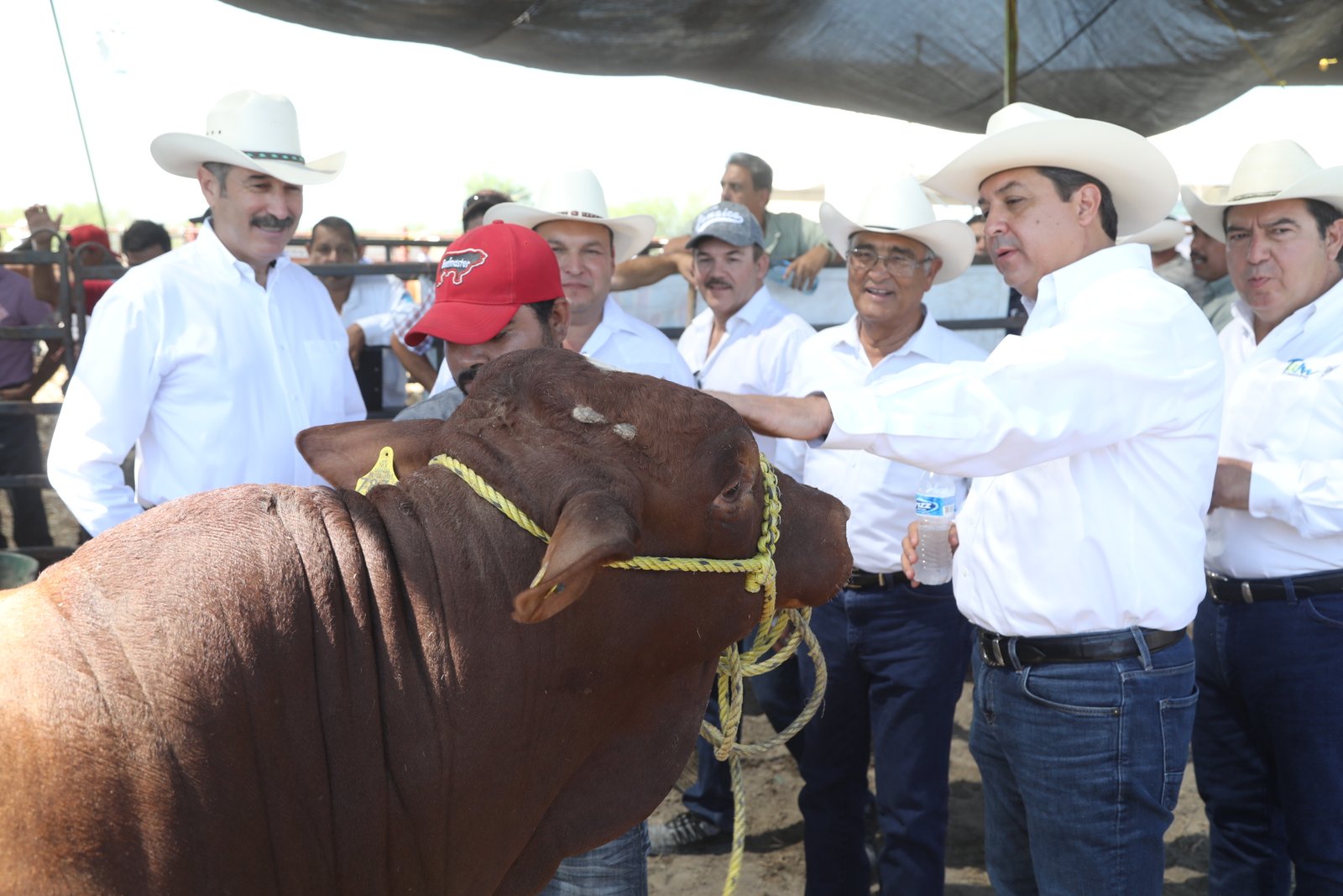 TAM-134-2019.-000 (3)