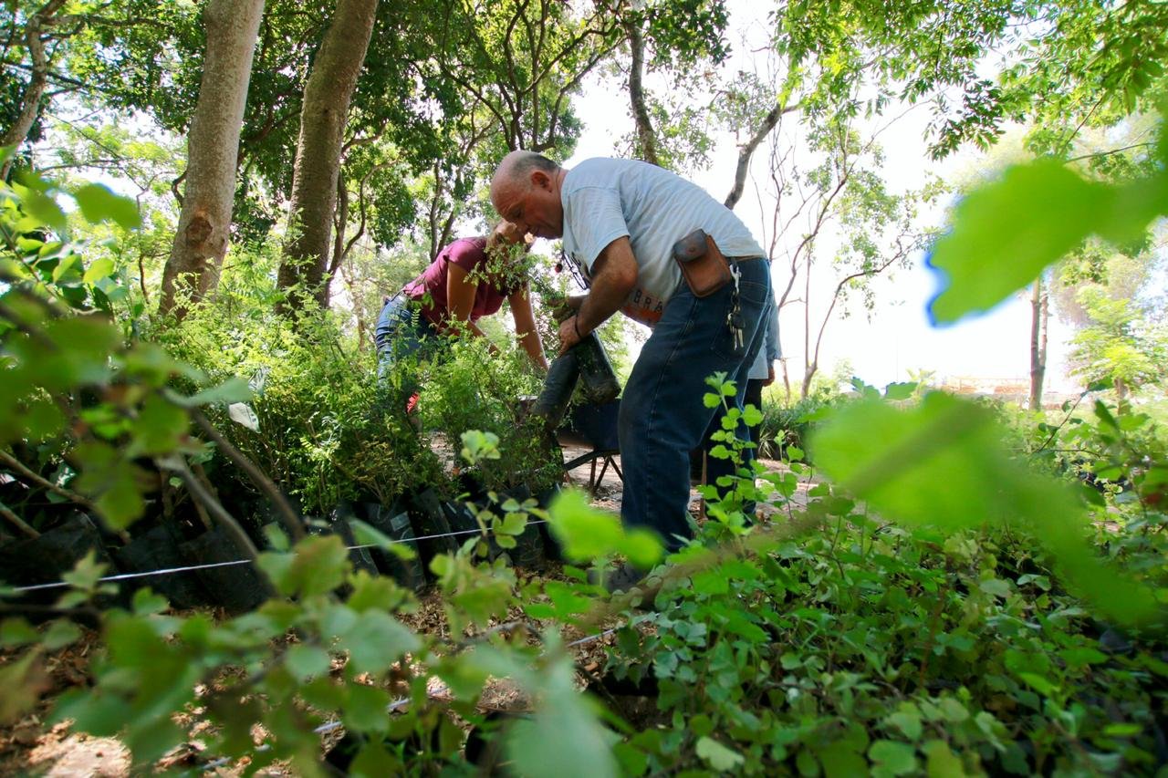 WhatsApp Image 2019-08-05 at 12.14.47 PM