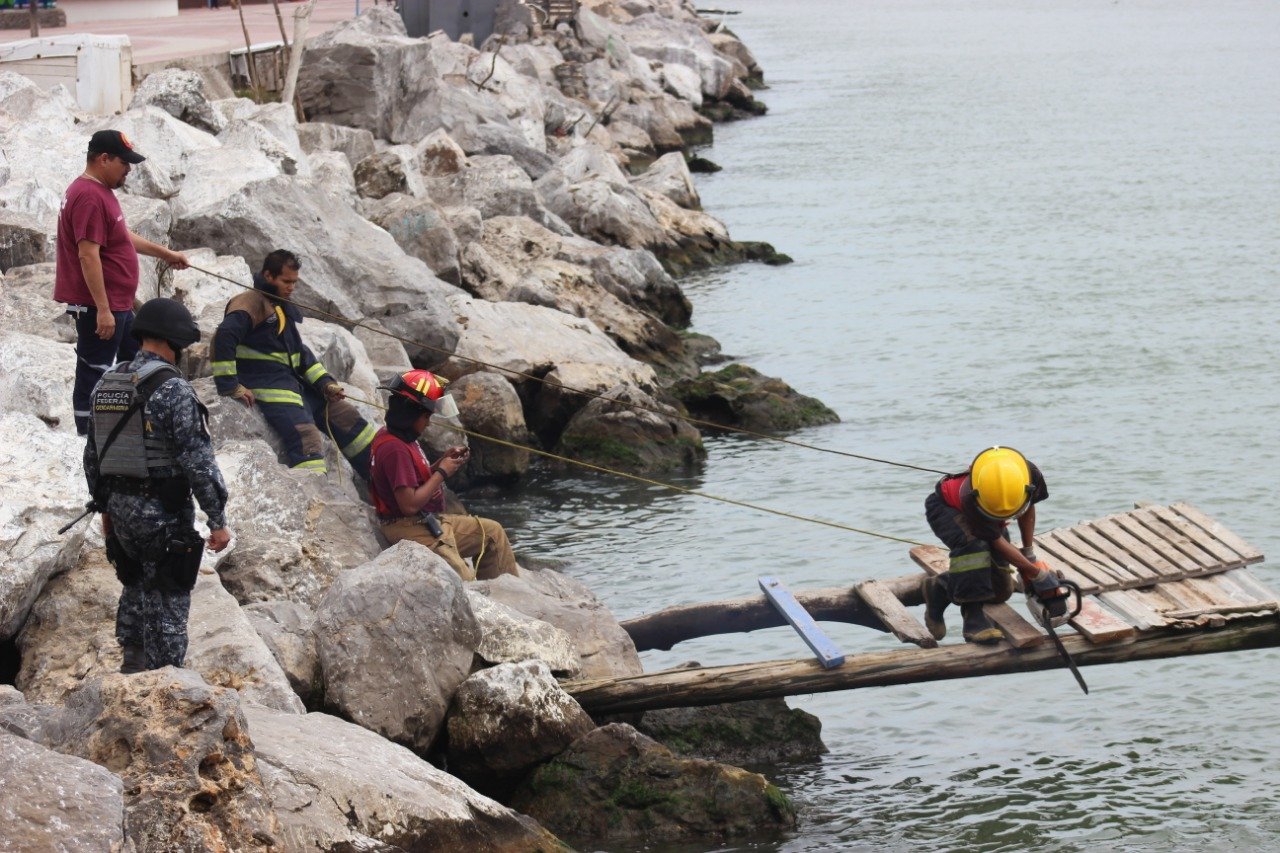 WhatsApp Image 2019-08-12 at 3.47.22 PM