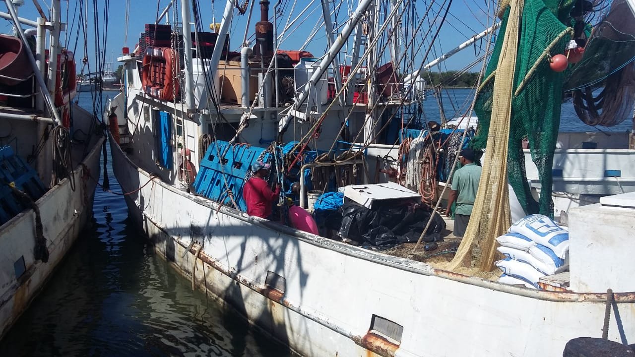 WhatsApp Image 2019-08-21 at 2.29.15 PM