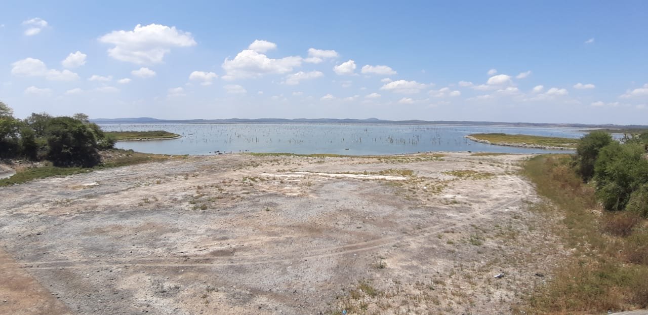 WhatsApp Image 2019-08-29 at 3.54.35 PM