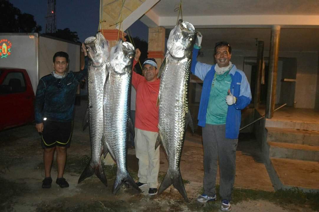 IDE-094-2019.-Omar Stiles gana el Primer Torneo de Sábalo en Barra de Morón (2)