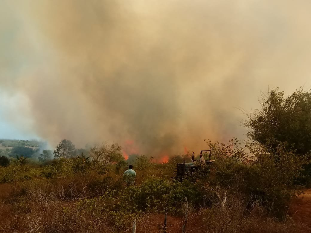 WhatsApp Image 2019-09-05 at 2.46.07 PM