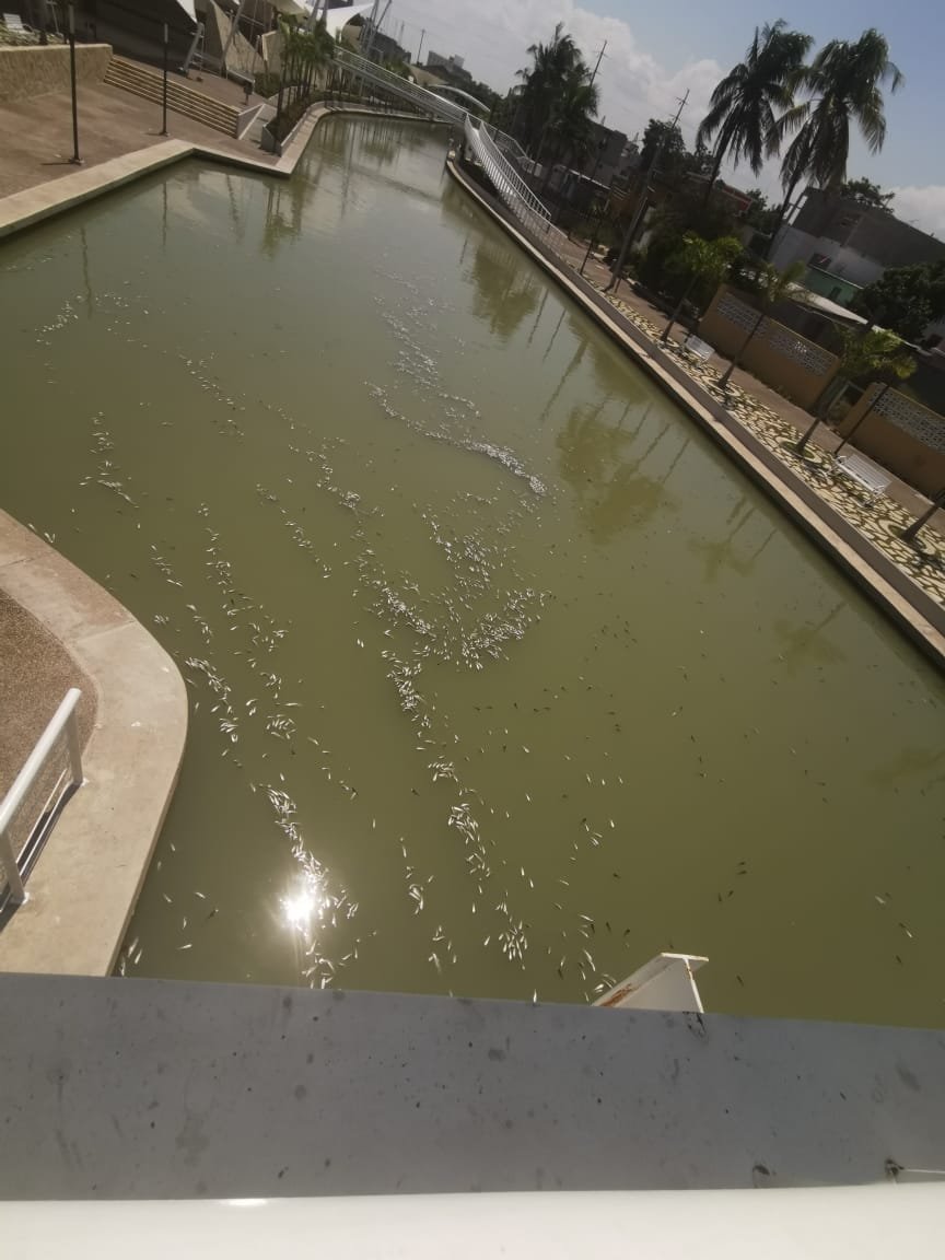 WhatsApp Image 2019-09-17 at 3.13.53 PM