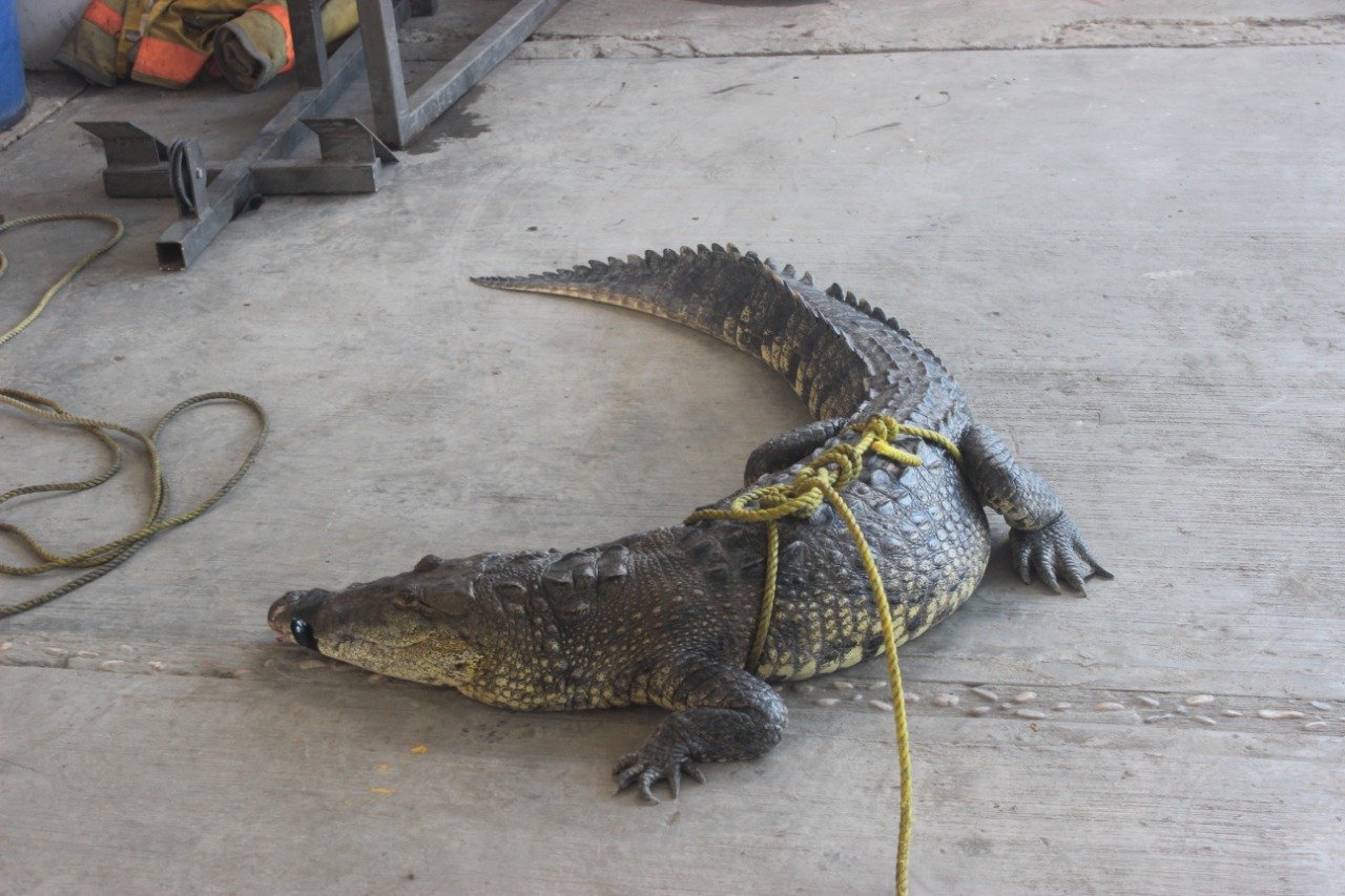 WhatsApp Image 2019-10-14 at 2.01.00 PM