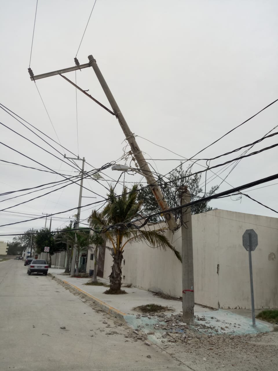 WhatsApp Image 2020-02-26 at 11.42.29 AM