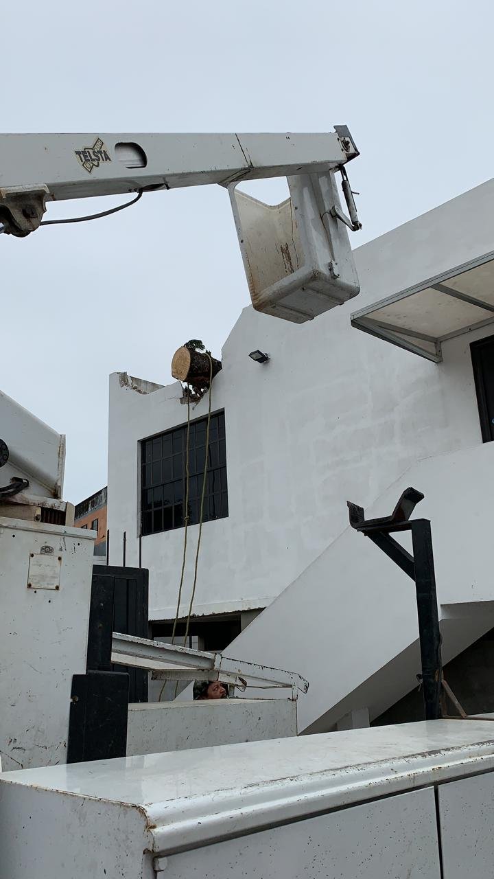 WhatsApp Image 2020-02-26 at 2.56.58 PM