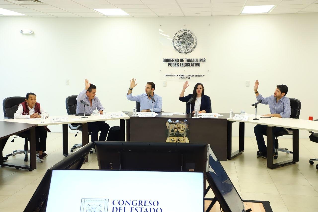 Comisión Niñez, Adolescencia y Juventud