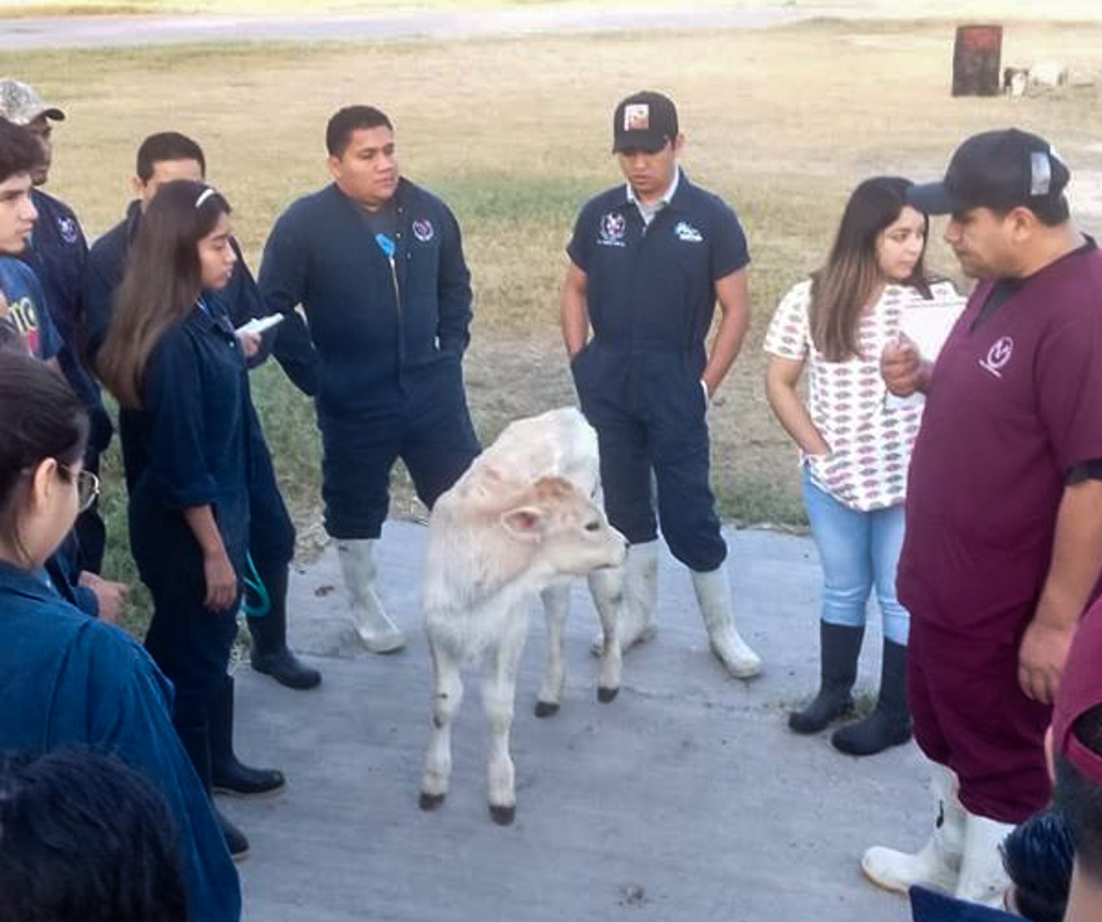 Foto 2 veterinaria 20 03 2020