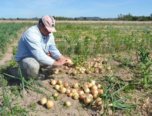 WhatsApp Image 2020-03-11 at 2.11.29 PM