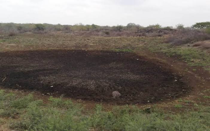 WhatsApp Image 2020-03-11 at 2.26.56 PM