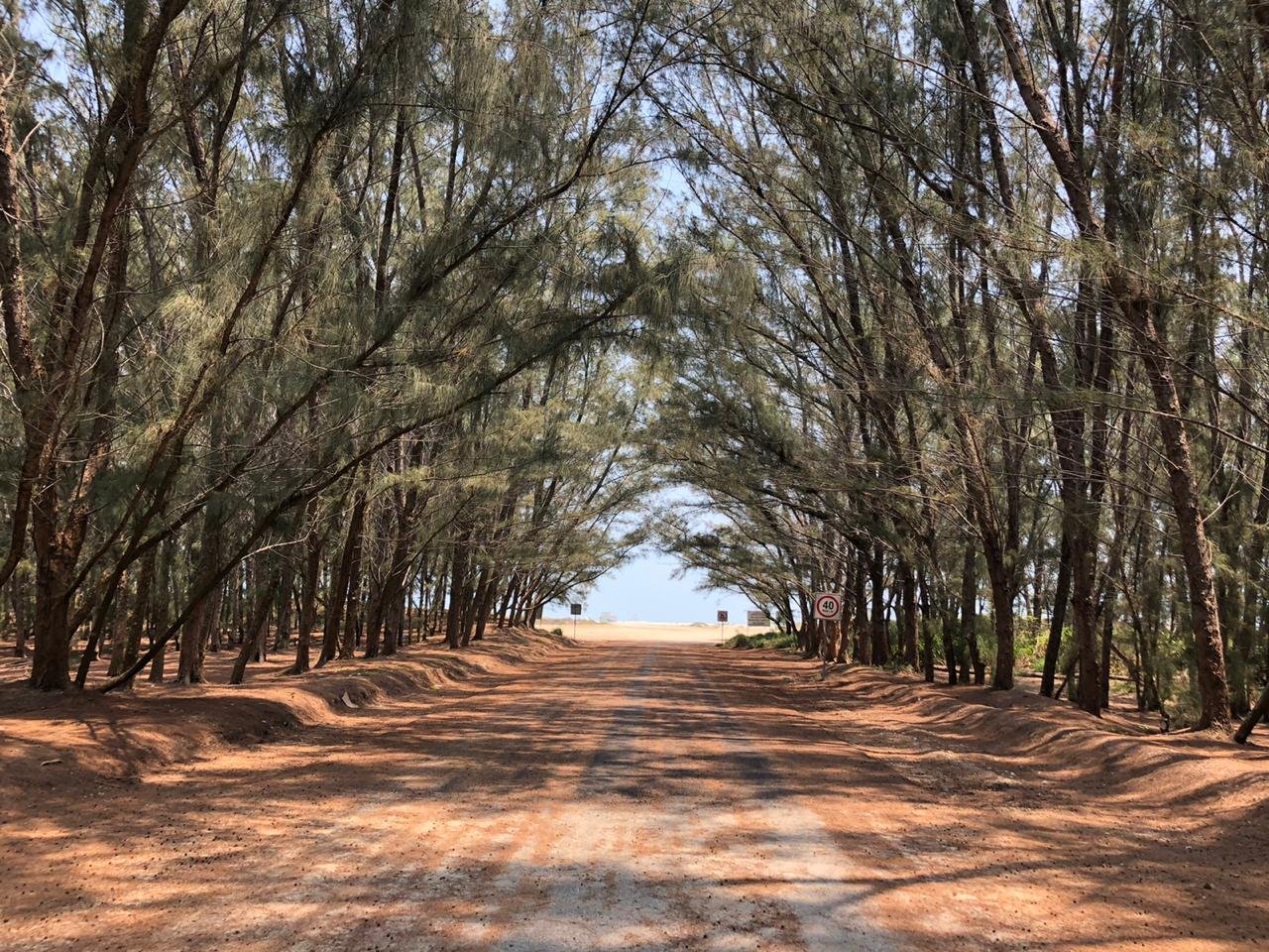 1PHOTO-2020-04-09-15-27-13