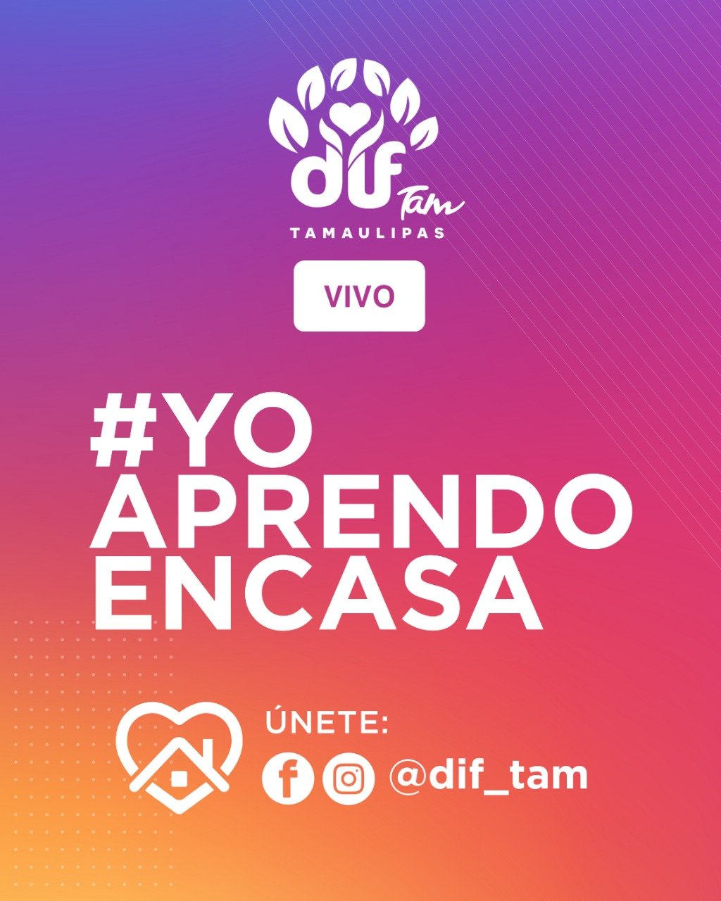 DIF-035-2020.-Ofrecerá DIF Tamaulipas cursos, pláticas, recetas de cocina, ejercicios en línea para toda la familia (2)