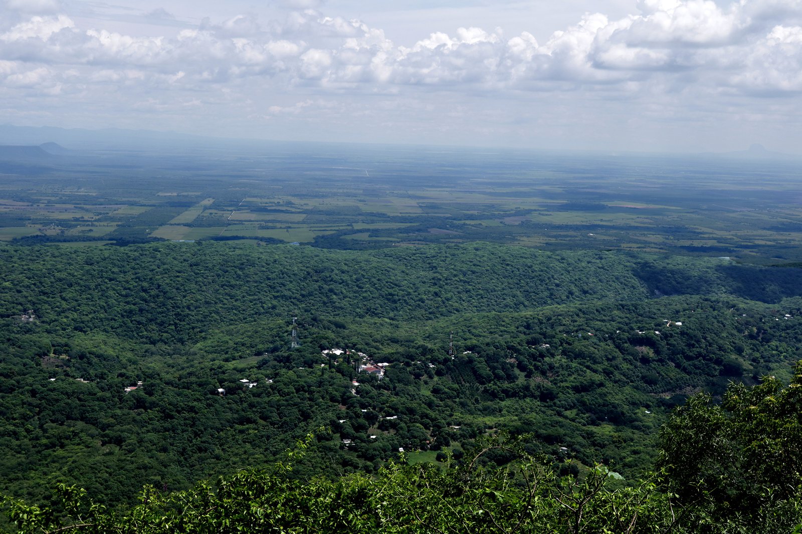 SDU-039-2020.-Conserva y preserva Gobierno de Tamaulipas las ANPs (1)