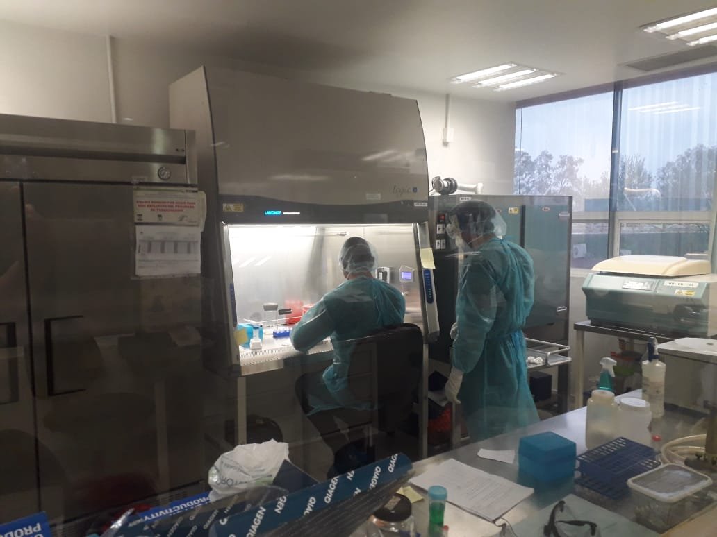 SST-081-2020.-Analiza SST 12 nuevos casos sospechosos a COVID-19