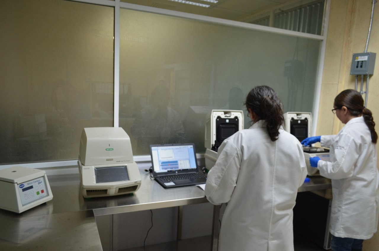 SST-121-2020.-Registra Tamaulipas 11 nuevos casos positivos a COVID-19, suman 419