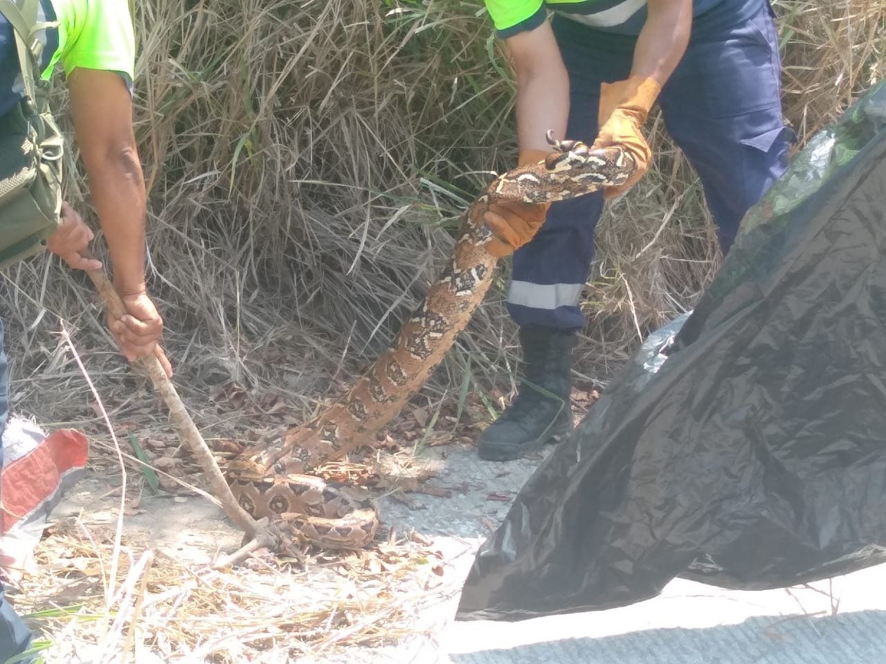 WhatsApp Image 2020-04-02 at 4.00.54 PM