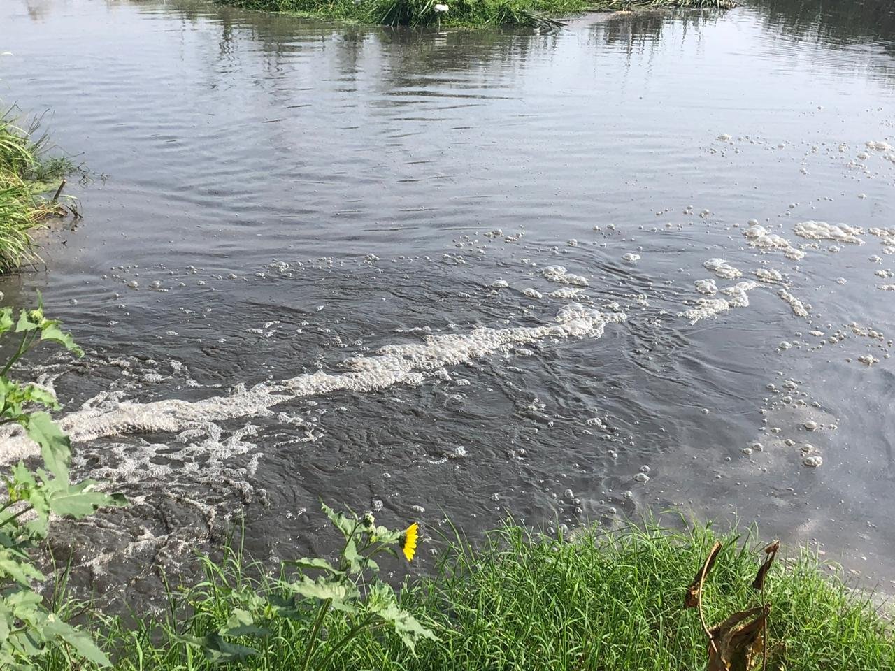 WhatsApp Image 2020-04-29 at 4.37.14 PM