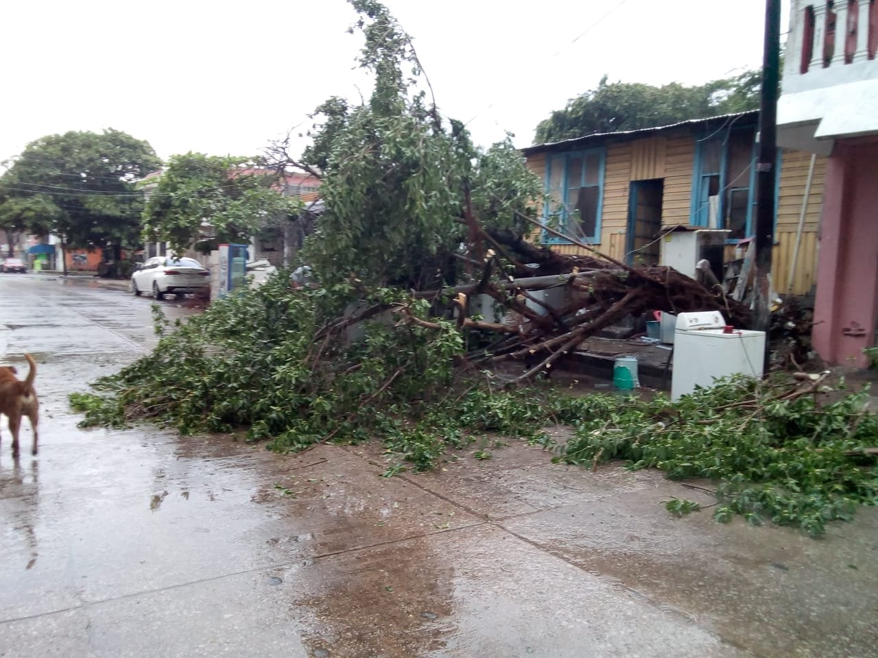 WhatsApp Image 2020-05-07 at 2.29.36 PM (1)