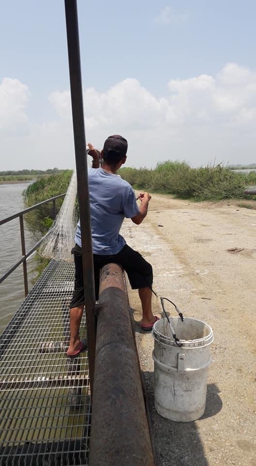 WhatsApp Image 2020-05-18 at 1.43.38 PM