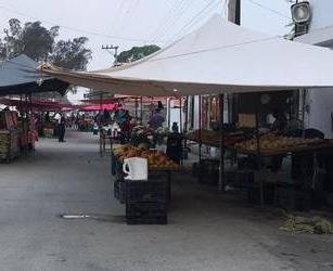 WhatsApp Image 2020-05-19 at 12.06.53 PM