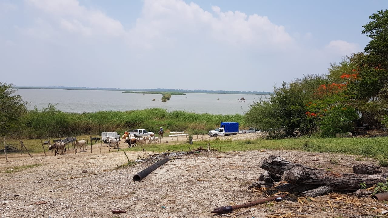 WhatsApp Image 2020-05-26 at 5.29.30 PM