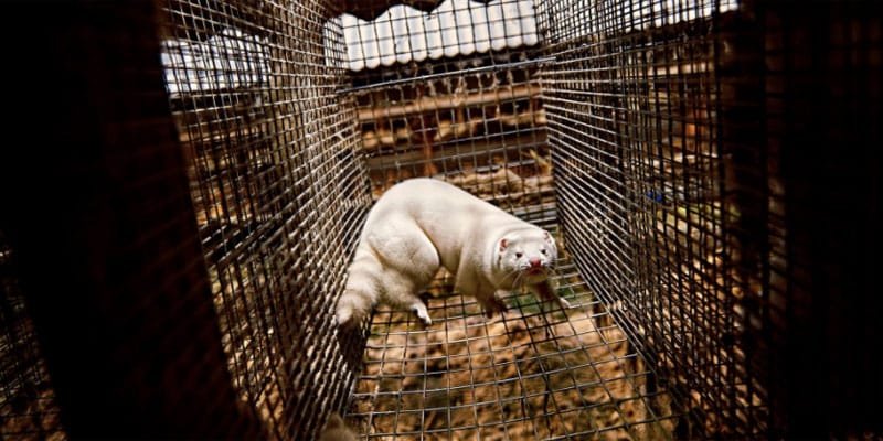 WhatsApp Image 2020-05-27 at 10.53.19 AM