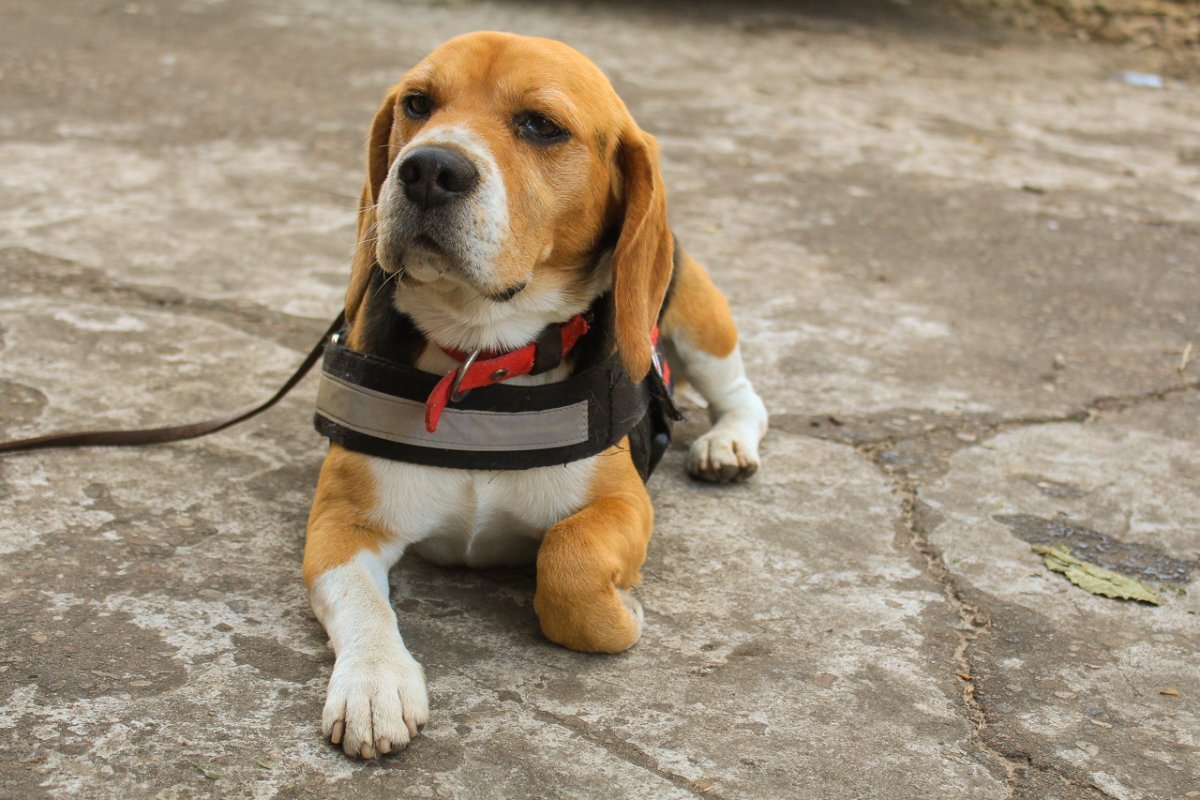 landscape_h__Gualeguaychu_1492519679