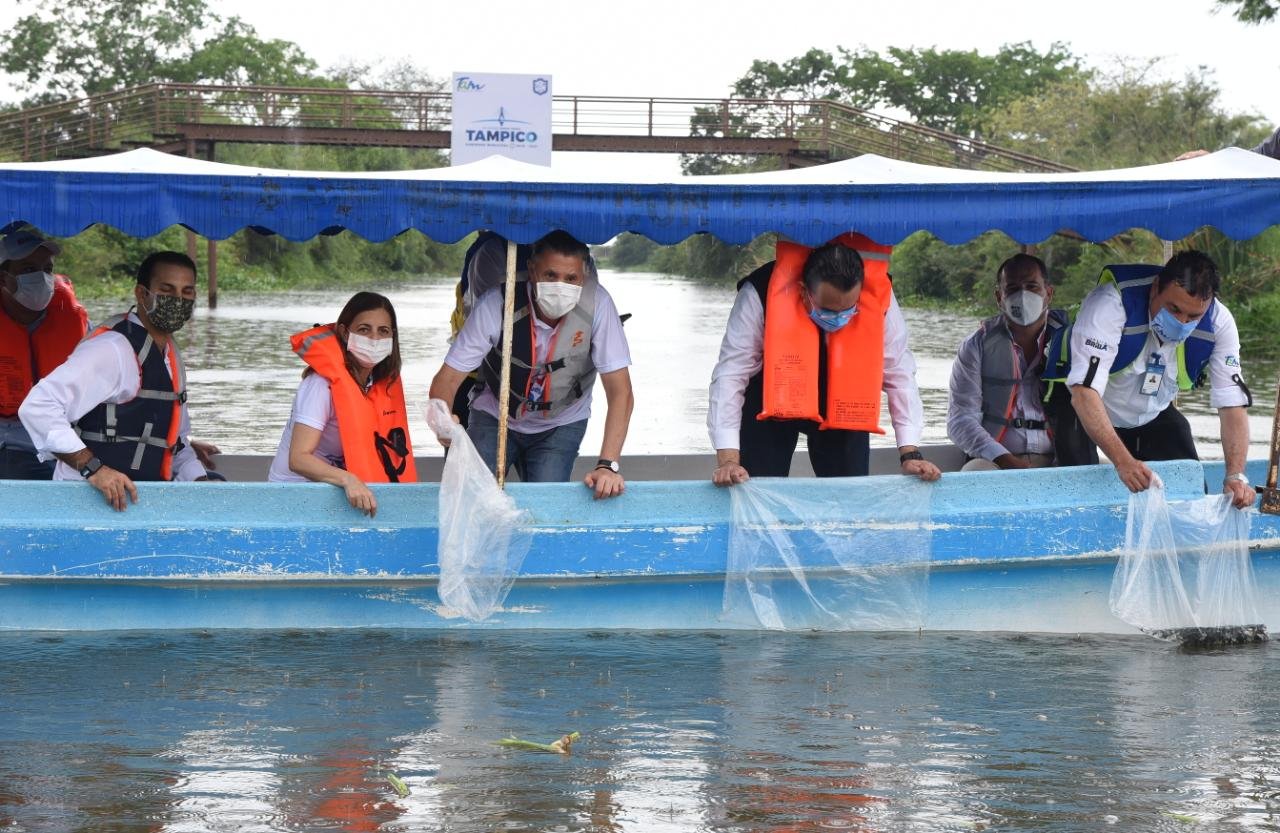 WhatsApp Image 2020-06-05 at 1.02.32 PM (1)